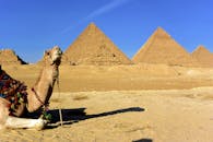 在埃及吉萨金字塔前，骆驼在晴朗的天空下休息