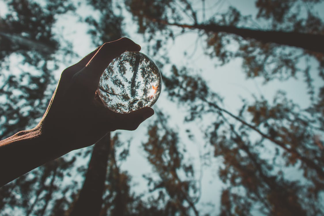 Crop man with reflecting crystal ball in forest - how to visualize