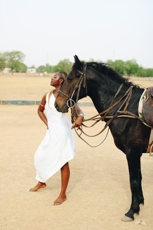 Free Graceful pose of a woman in white beside a black horse in a sunlit outdoor setting. Stock Photo