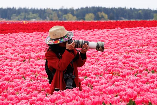 A woman taking photos in a colorful tulip field, showcasing vibrant blooms and springtime beauty.