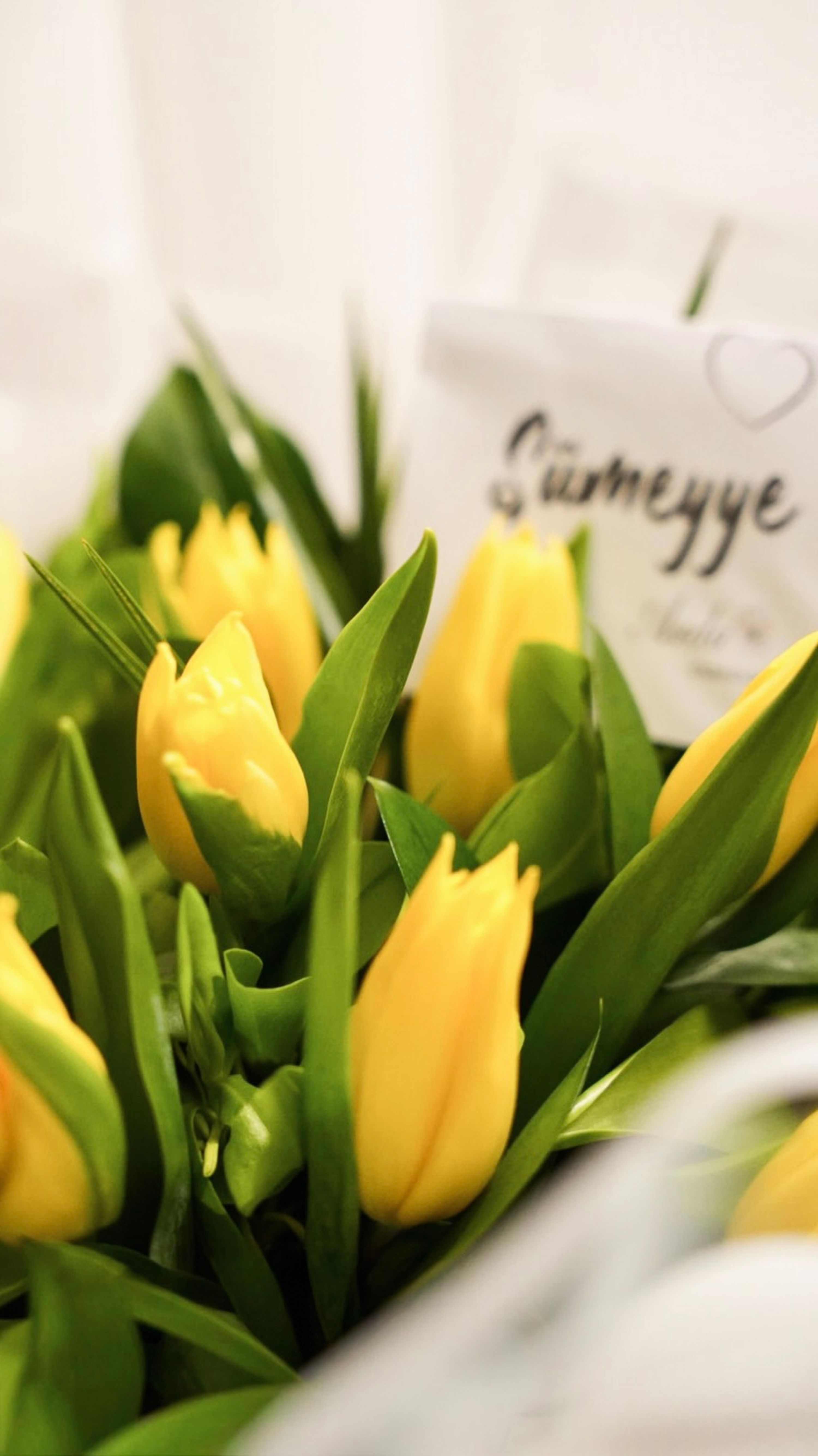 Close-up of vivid yellow tulips with a heartfelt greeting card, perfect for celebrations.