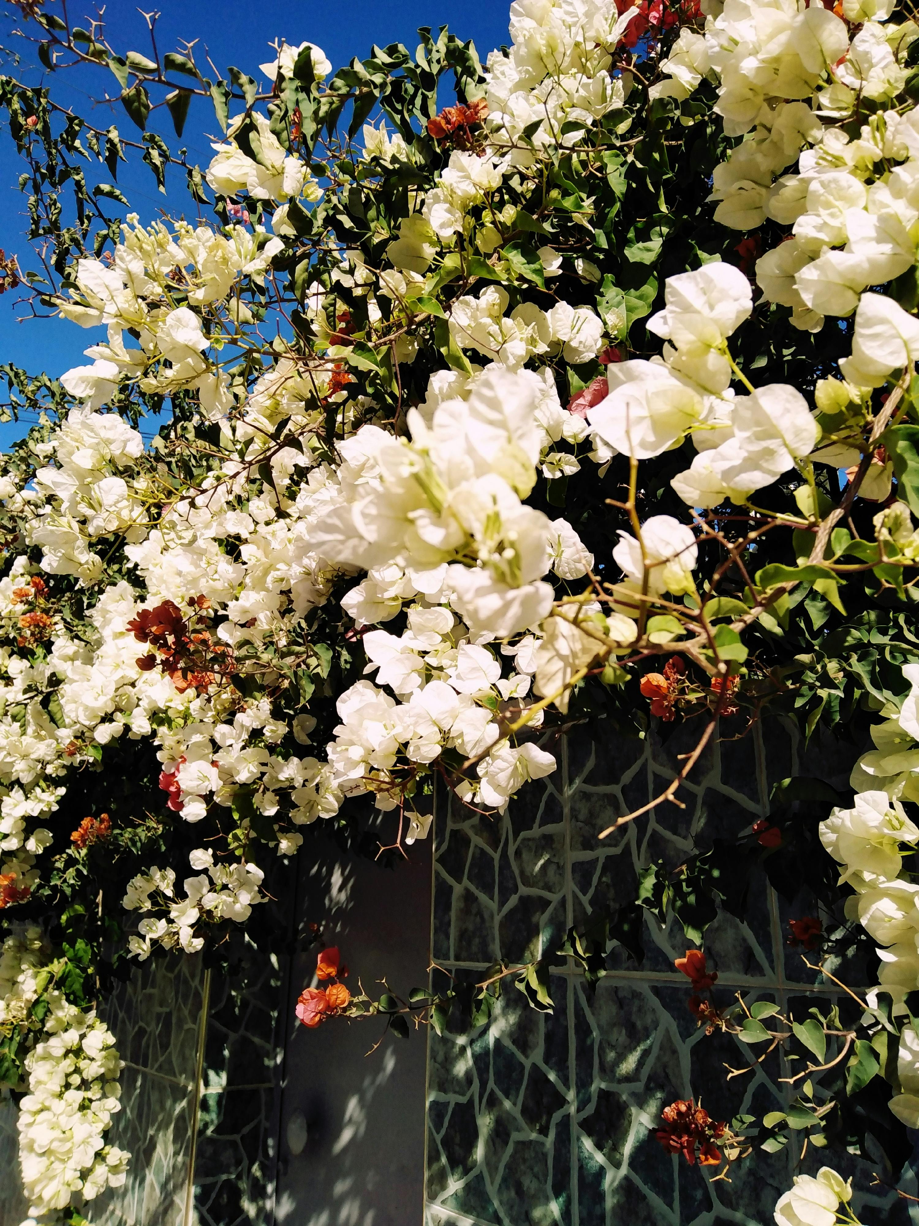 Colourful textiles in a Peruvian market