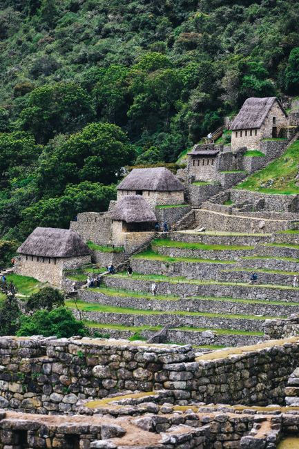 Explore the ancient stone terraces of Machu Picchu, nestled in lush greenery, showcasing rich Incan history.