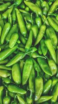 Serrano pepper - Wikipedia