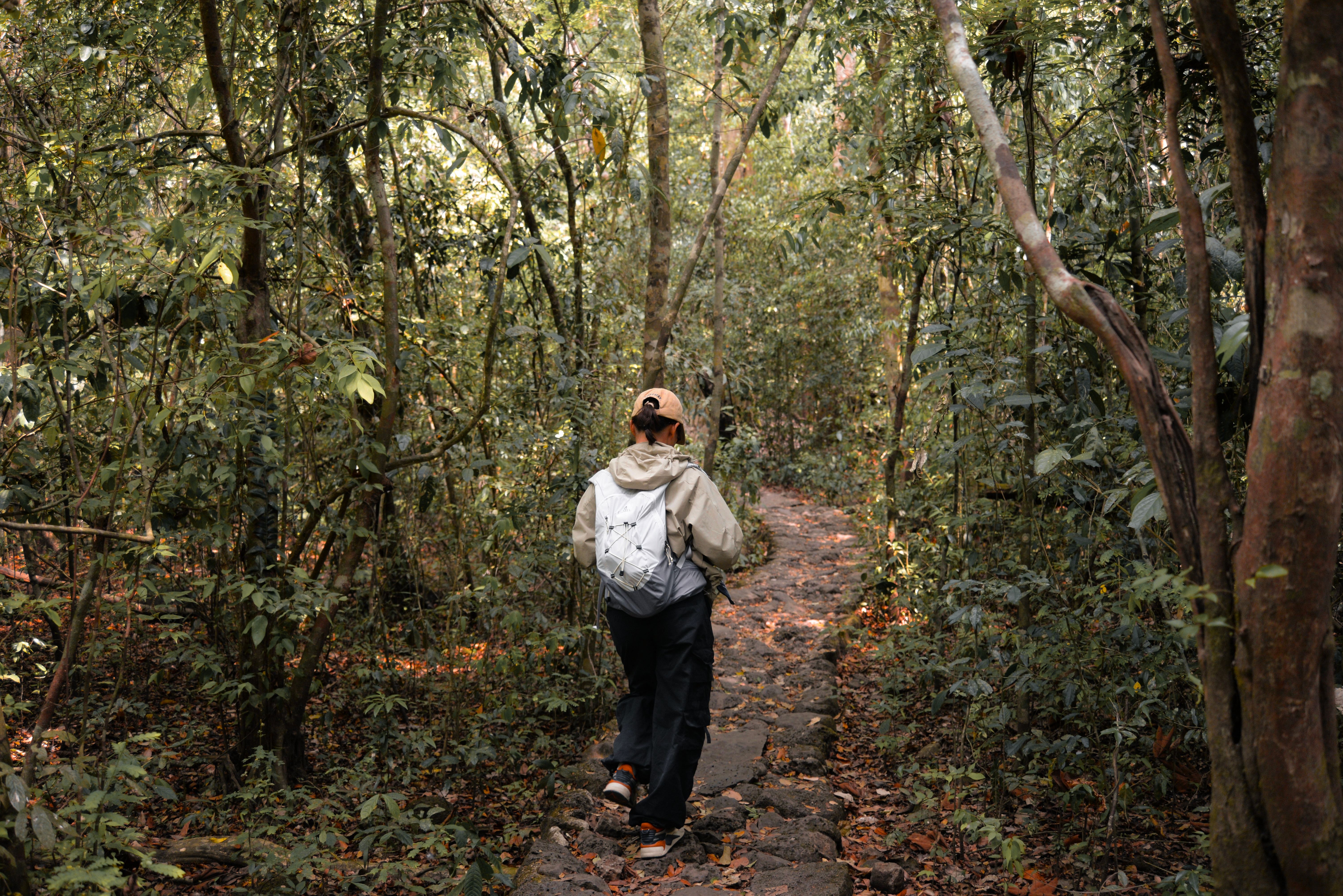 walking in forests in Africa