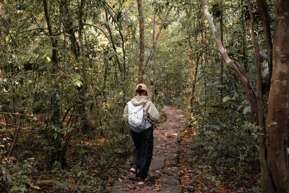 walking in forests in Africa