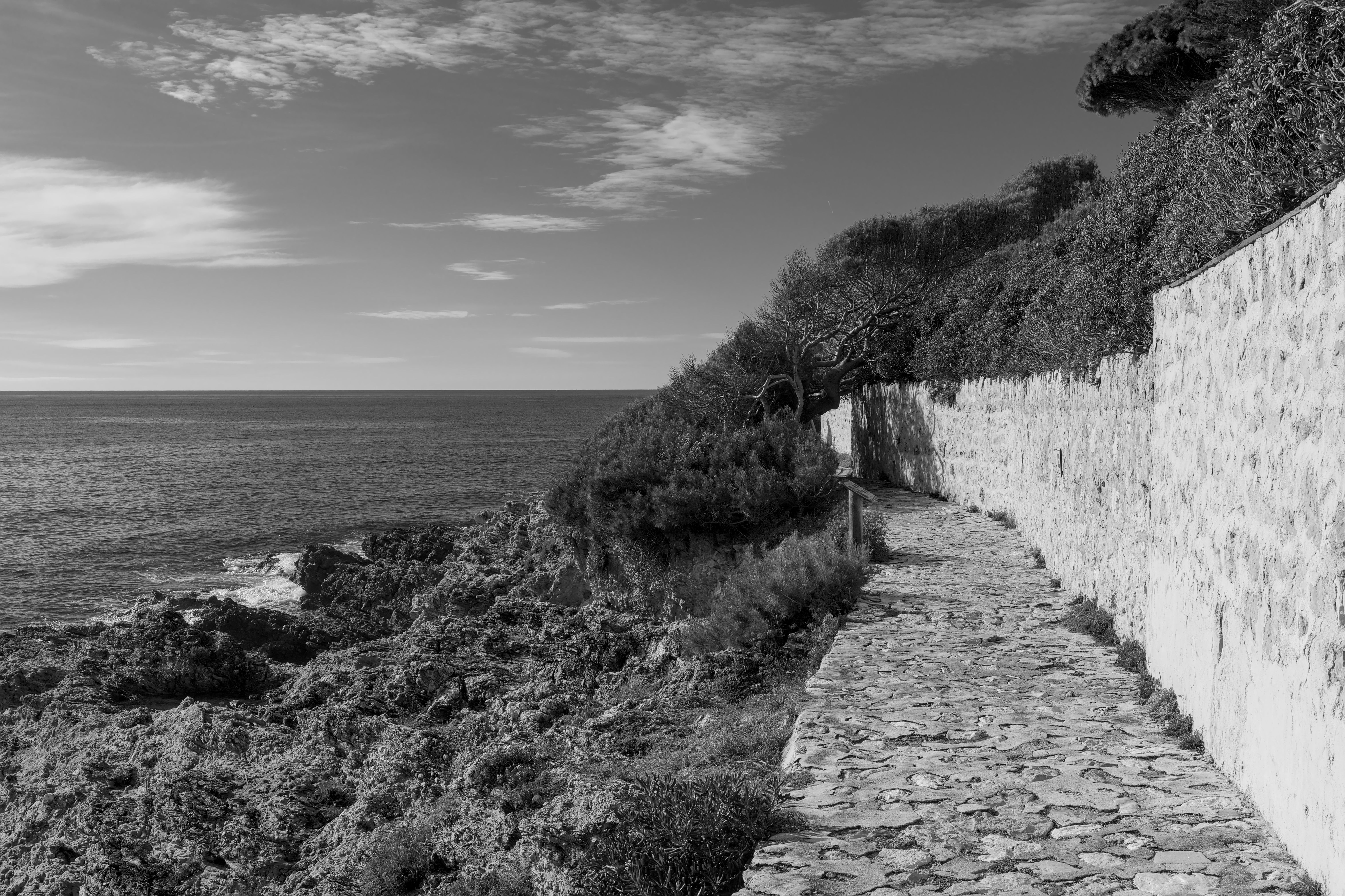 Black and white image of a serene coastal path in Cap Ferrat, France. Black and white image of a serene coastal path in Cap Ferrat, France.