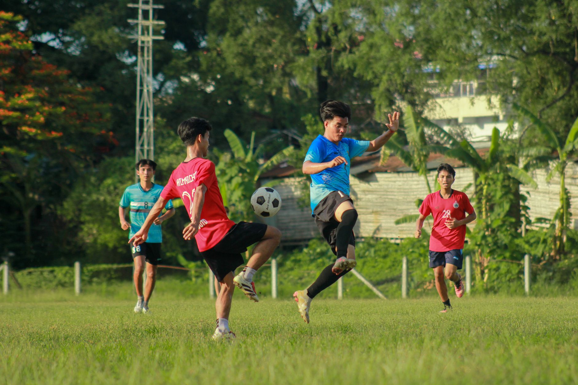 កីឡាករបារាំងកំពុងហ្វឹកហាត់នៅទីលានបាល់ទាត់ក្រោមពន្លឺថ្ងៃ មុនការប្រកួតធំ