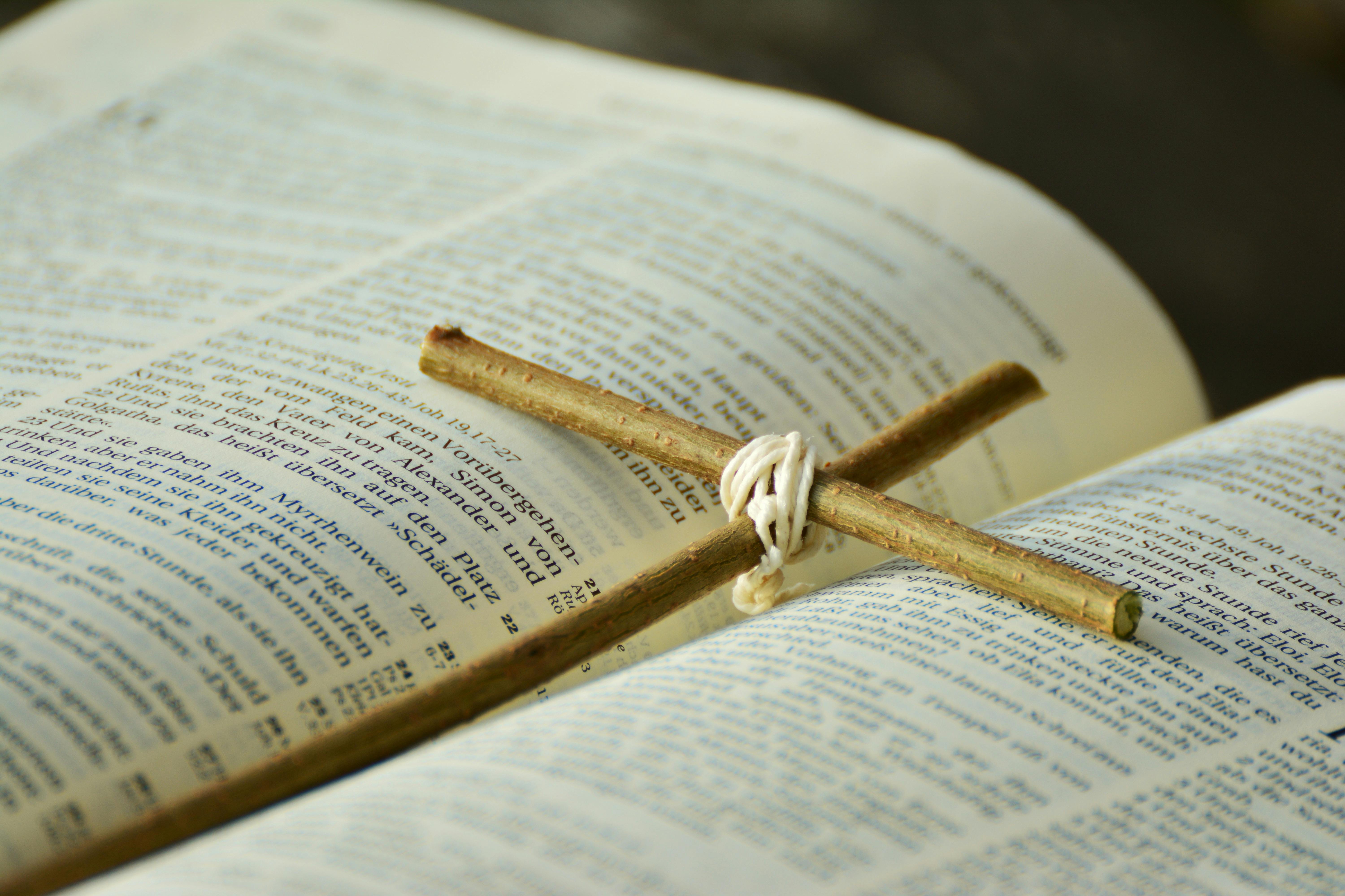 Free stock photo of bible, Christ, christianity