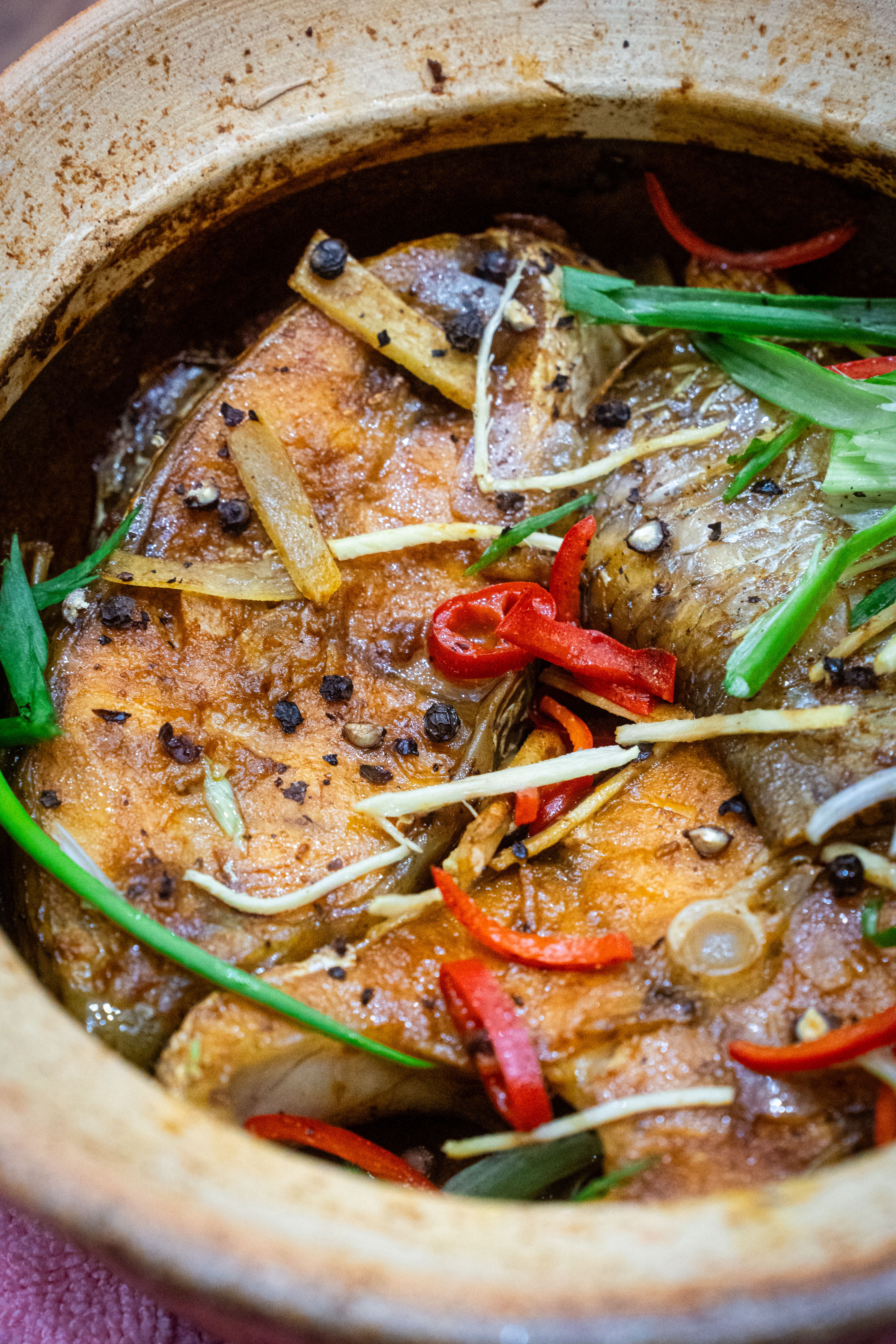 Vietnamese Clay Pot Braised Fish with Spices · Free Stock Photo