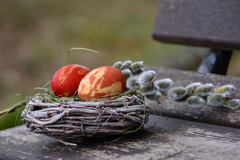 Selective Focus Photography of Egg on Nest