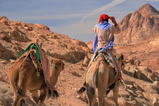 A person in traditional attire rides camels through a rocky desert landscape.
