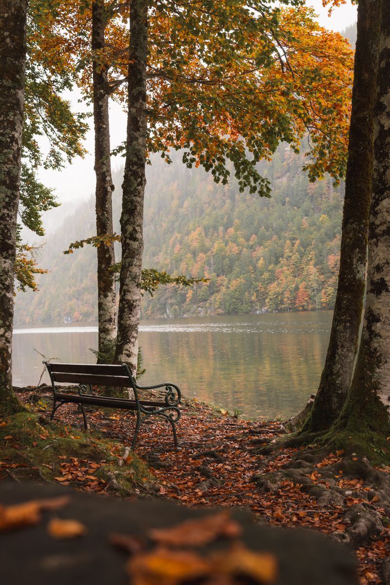 Serene autumn scene at Grundlsee, Austria, with a tranquil lakeside bench.