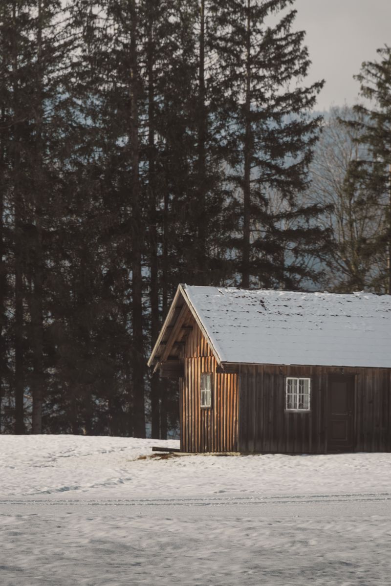 Rustic wooden cabin surrounded by snow and pine trees in Bad Aussee, Austria.