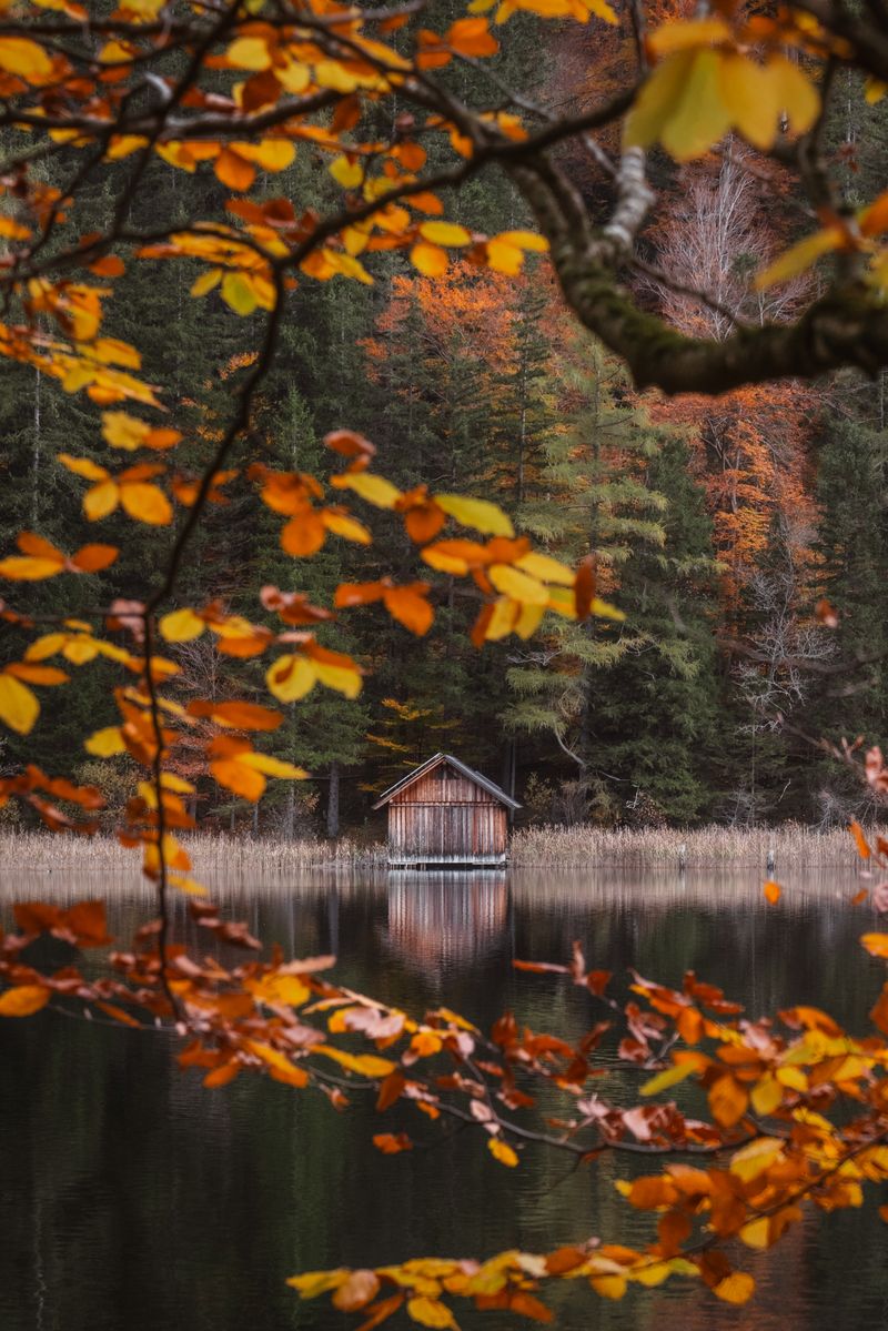 Tranquil lakeside cabin surrounded by vibrant autumn foliage in Eisenerz, Austria.
