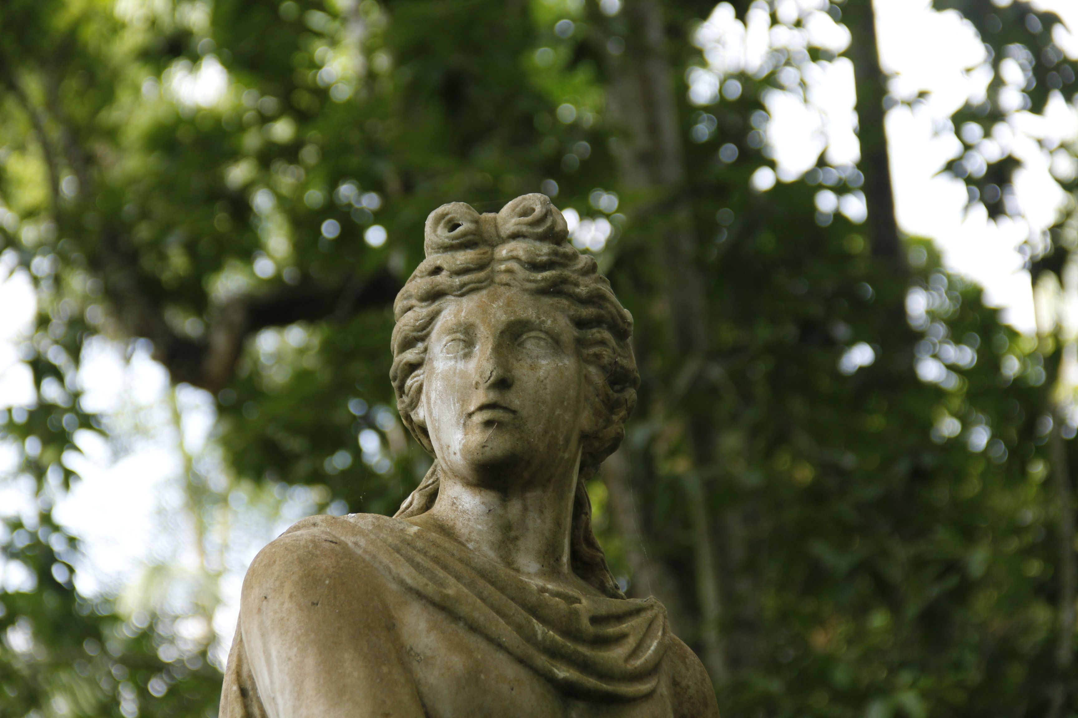 Anogeia — Anogeia