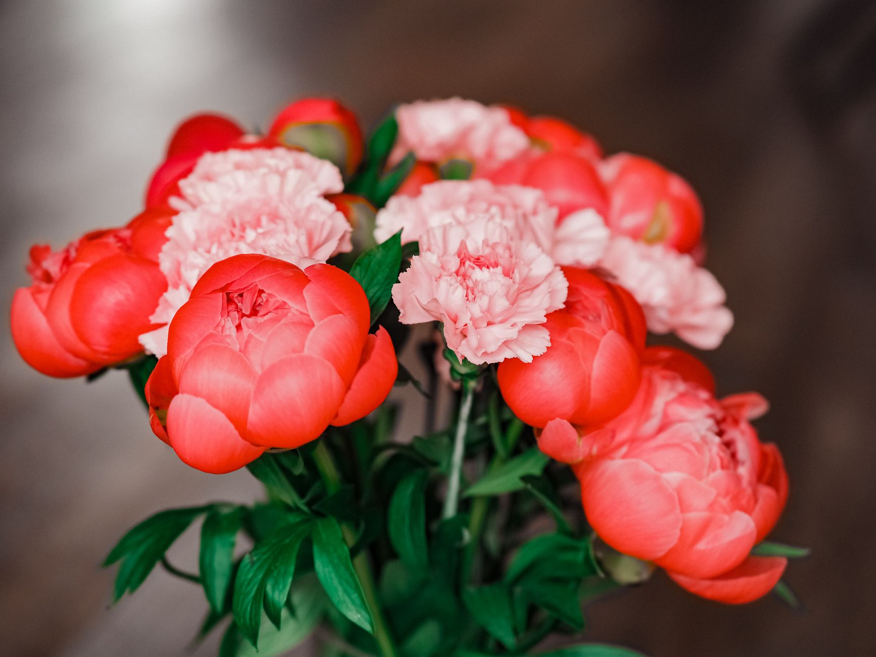 A stunning bouquet of pink peonies and carnations captured indoors, perfect for floral decor inspiration.