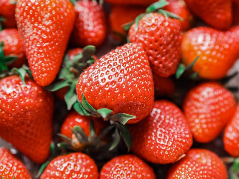 Close-Up of Fresh Red Strawberries with Green Leaves · Free Stock Photo