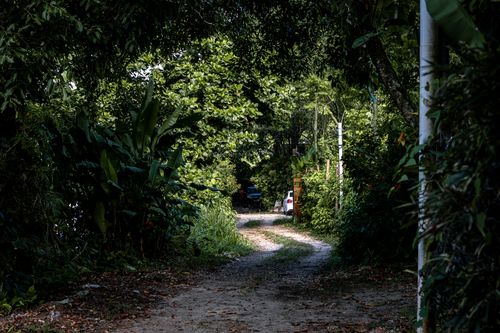Free Serene forest path enveloped by dense greenery, leading to a hidden destination. Stock Photo
