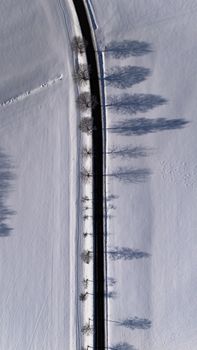 Aerial view of a snow-covered road lined with trees casting long shadows