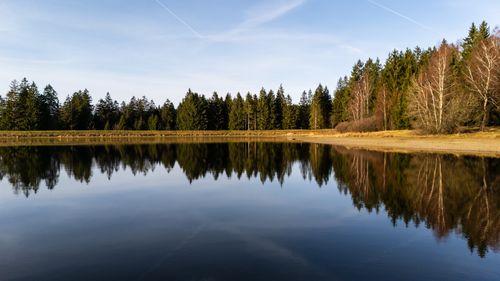 Free Beautiful mirror reflection of trees in a tranquil lake in Harz, Germany. Stock Photo