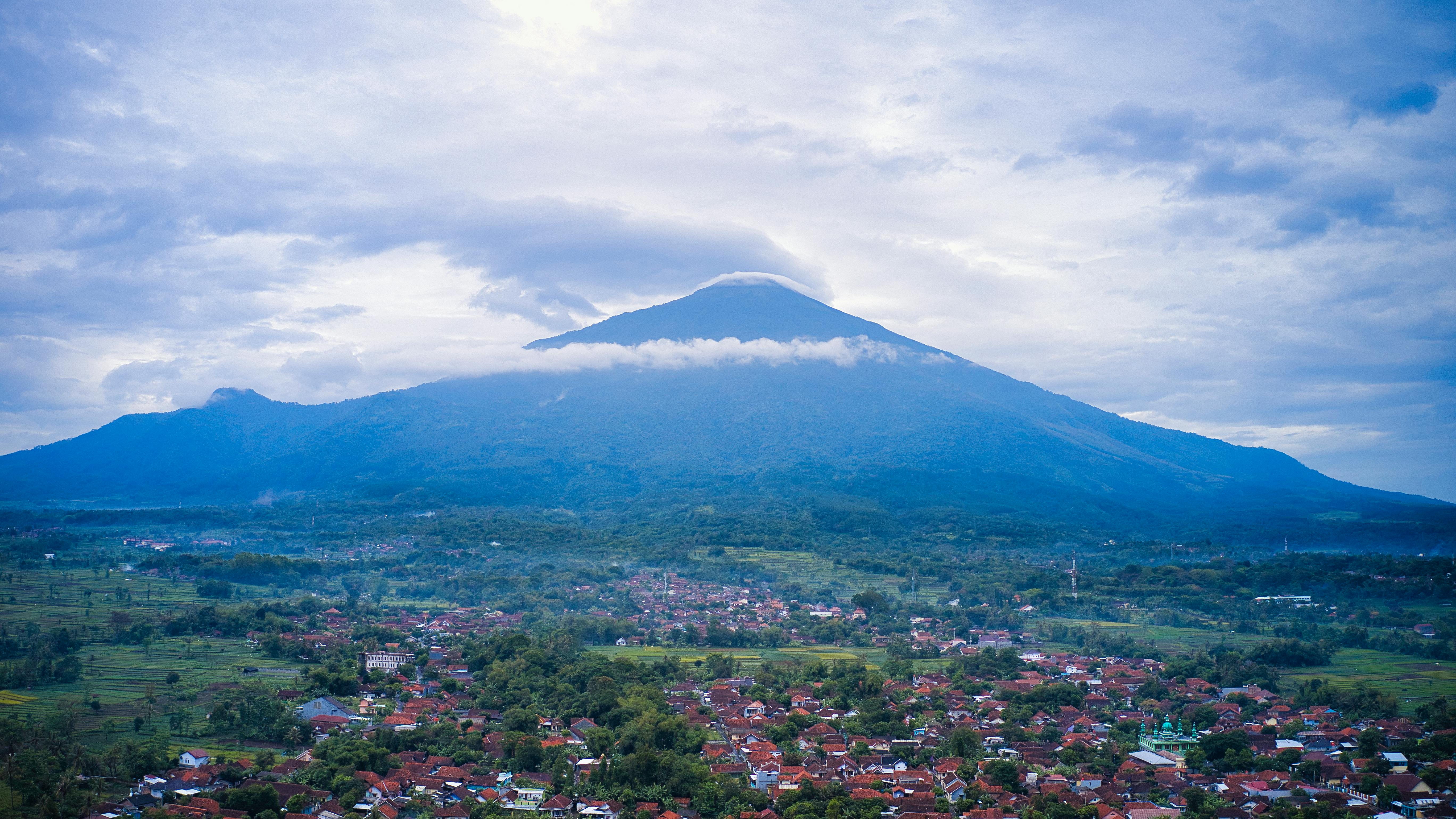Cadenas productivas en Indonesia: RSE para la trazabilidad y protección de bosques