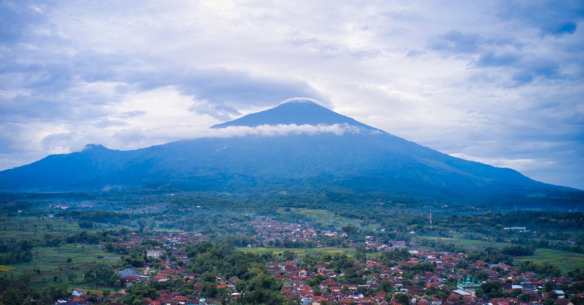 Indonesia: RSE que impulsa trazabilidad y protección de bosques en cadenas productivas Indonesia: RSE que impulsa trazabilidad y protección de bosques en cadenas productivas