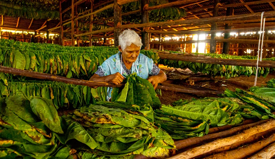 Jour 1 à Viñales