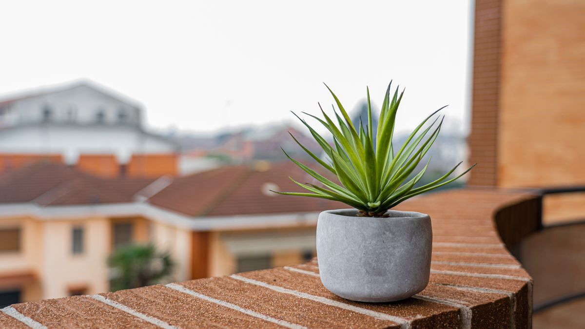 Comment créer une terrasse végétalisée durable à Angers