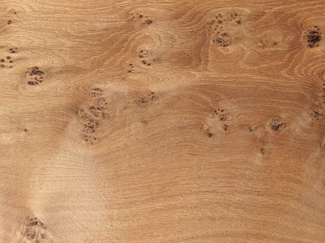Guide to Common Hardwoods: Oak, Maple, Walnut