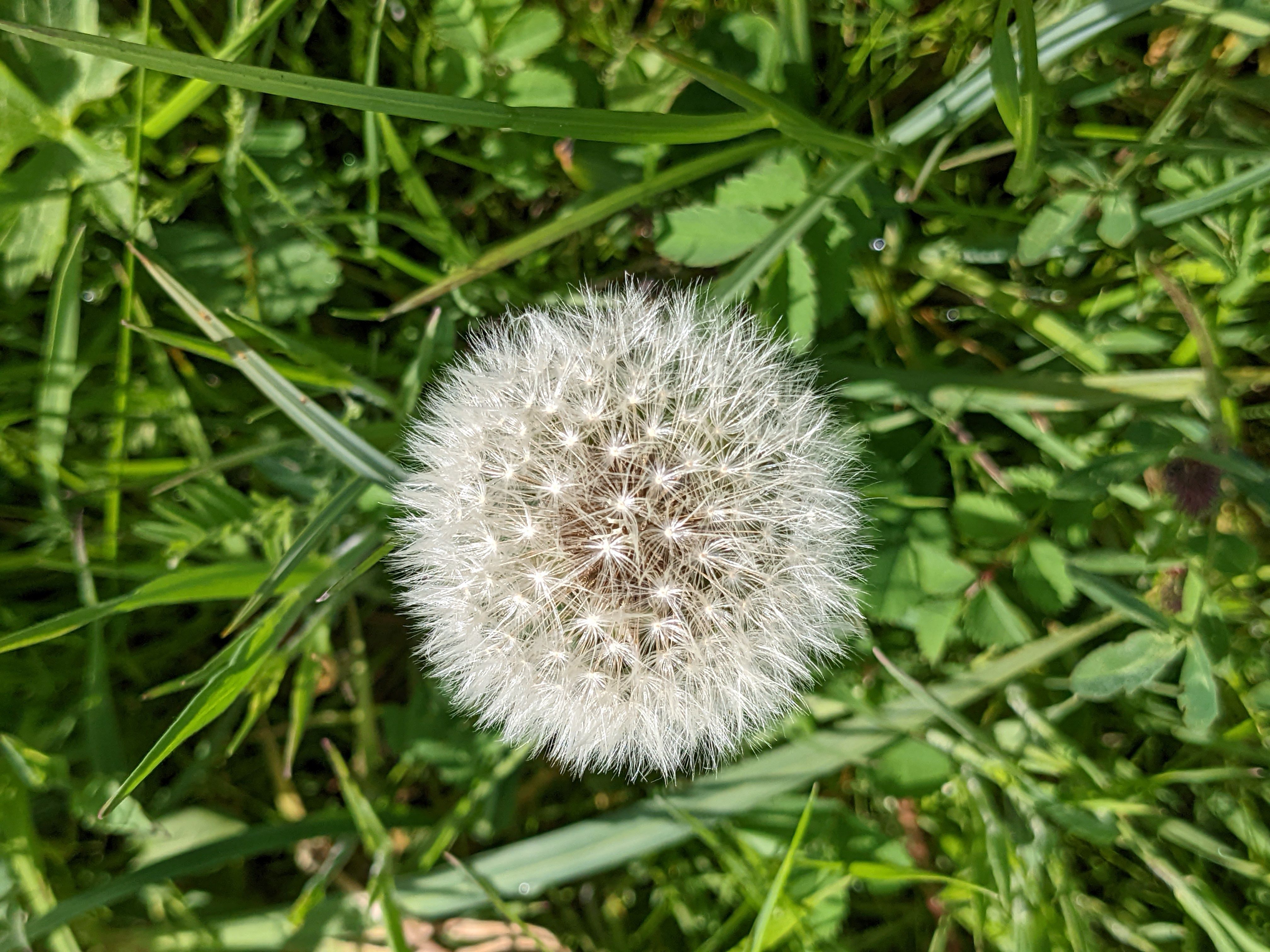 Seacourt Nature Park & Stream Walk