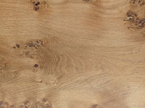 Should I Use Veneer or Solid Wood for My Office Furniture?