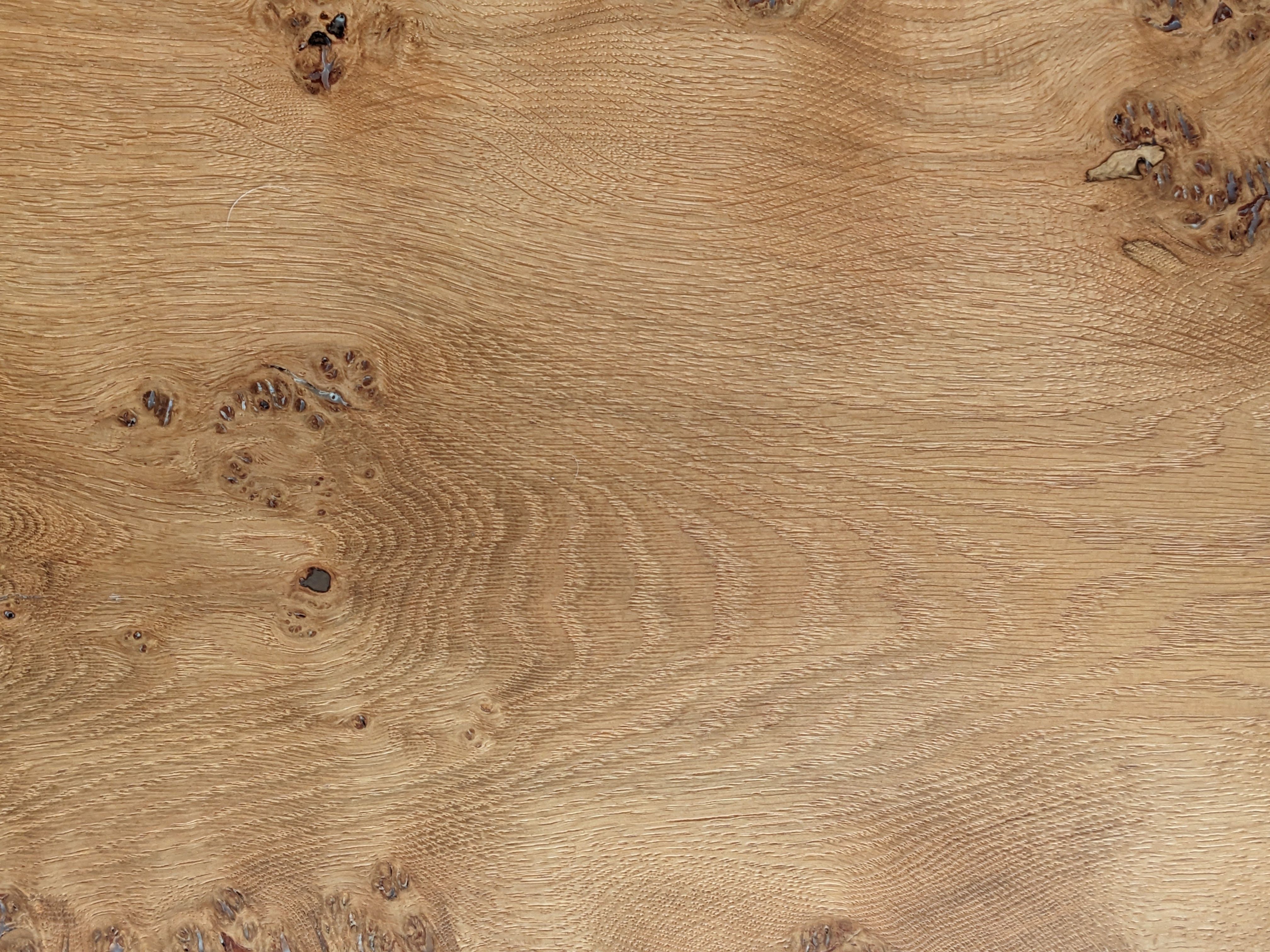 Light Oak Wood Grain Photos, Download The BEST Free Light Oak Wood ...