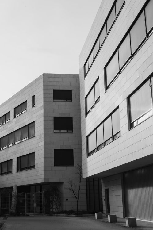 Modern Office Buildings in Black and White · Free Stock Photo