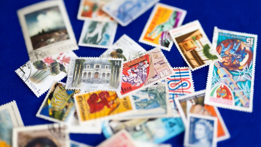 What Coin Grading Services Actually Do for Buyers