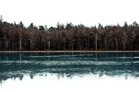 晴朗的天空下，冰冻湖泊的宁静景观映照出茂密的森林