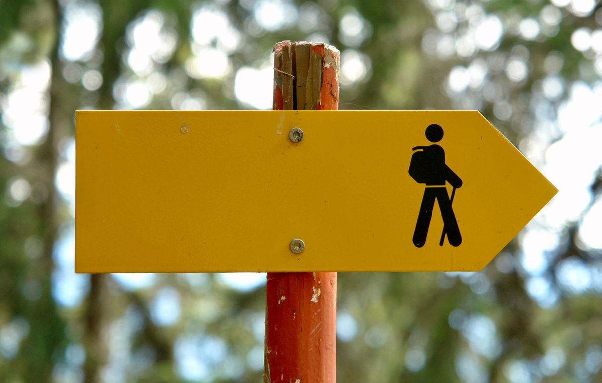 A yellow hiking sign in a forest pointing along the trail