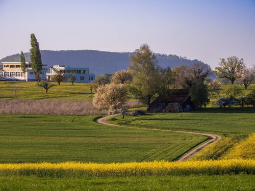 Free Idyllic countryside view featuring a modern home amidst lush greenery and blooming trees in springtime. Stock Photo