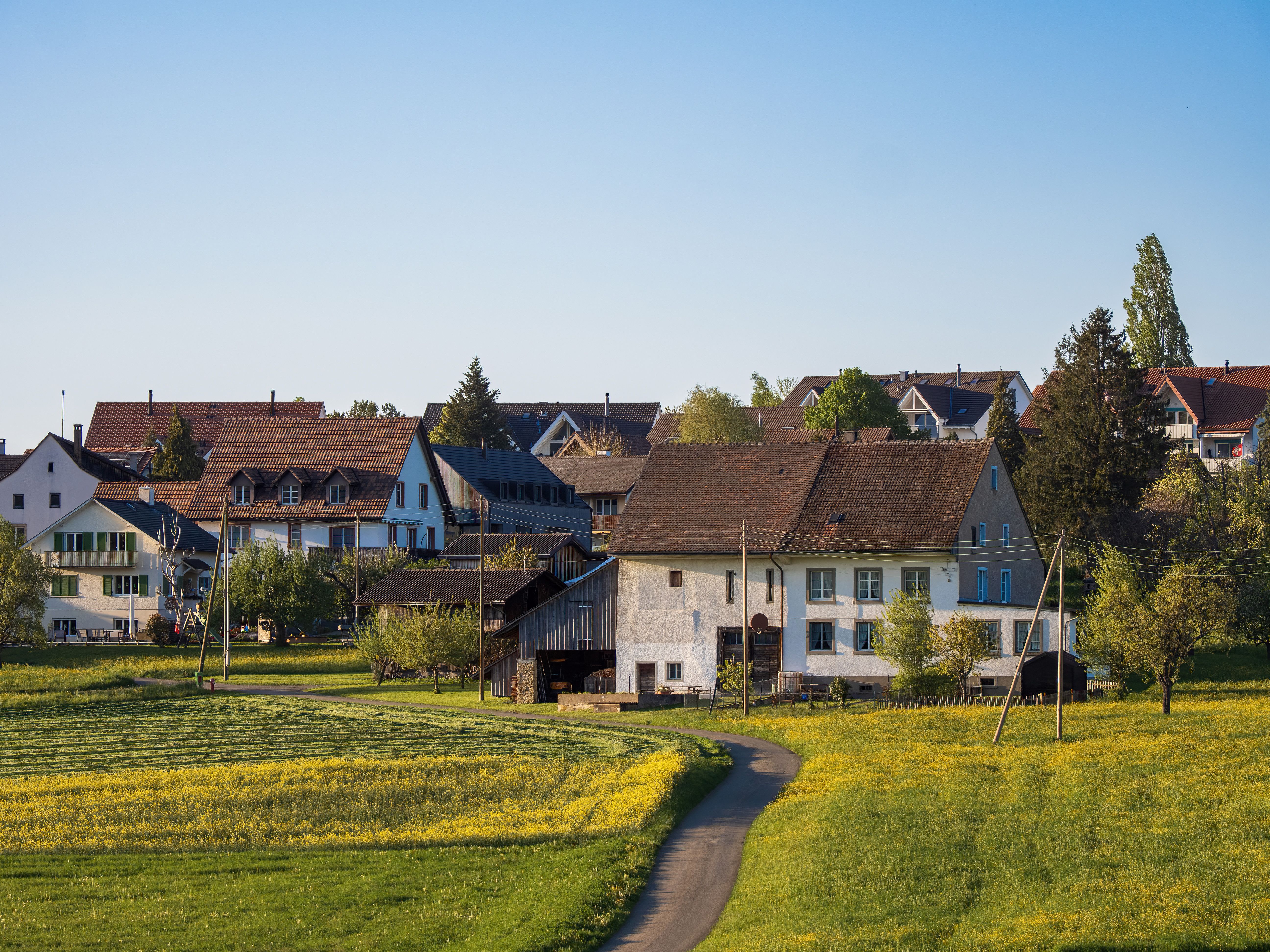 Luftreiniger für Schlafzimmer — Empfehlung für Pollenfilter für Schlafzimmer