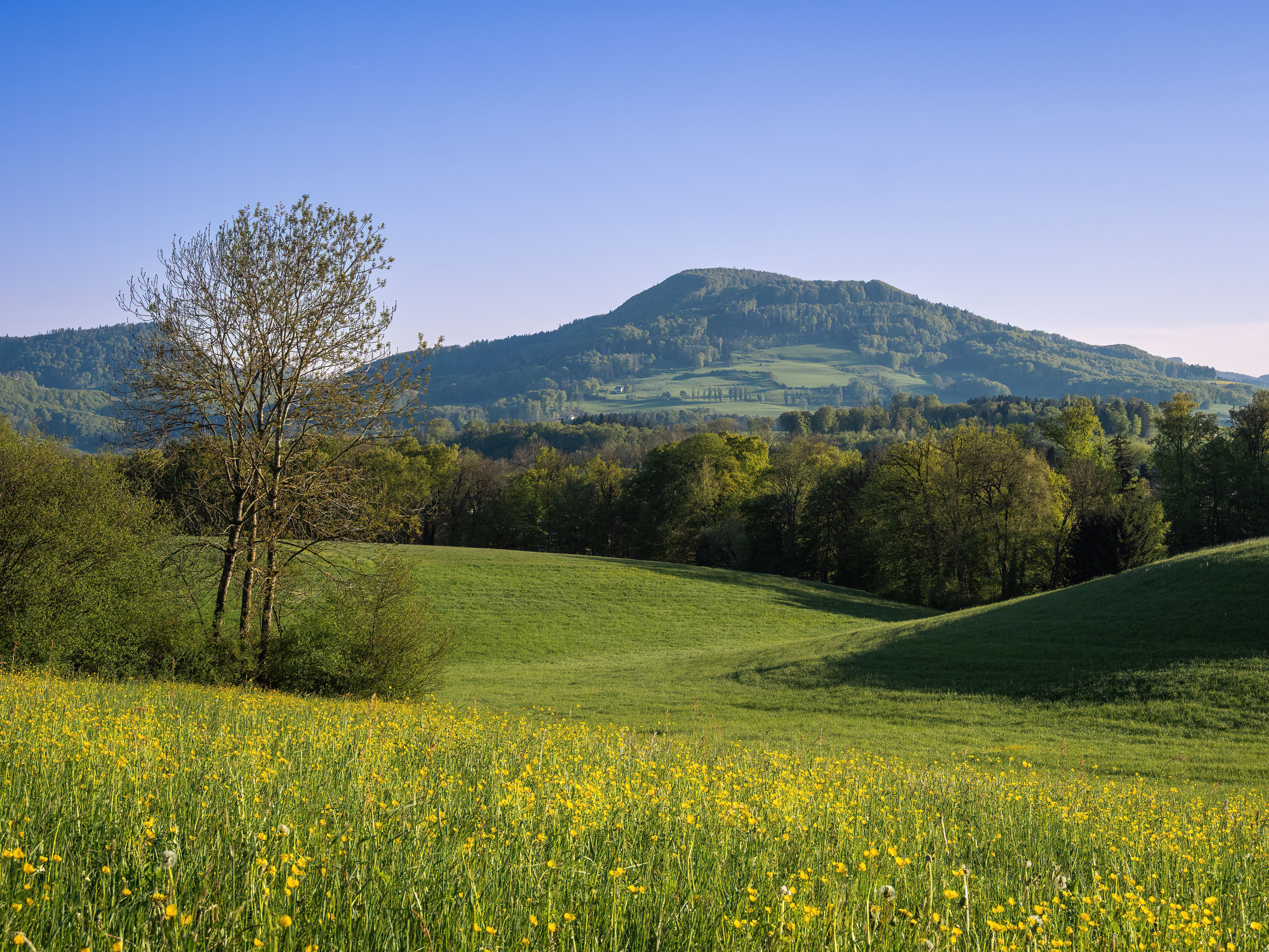 Beautiful Spring Landscape with Green Hills and Mountains · Free Stock ...