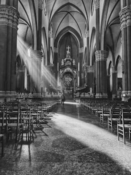 阳光照亮了意大利博洛尼亚大教堂华丽的内部，凸显了哥特式建筑风格与宗教的宁静氛围