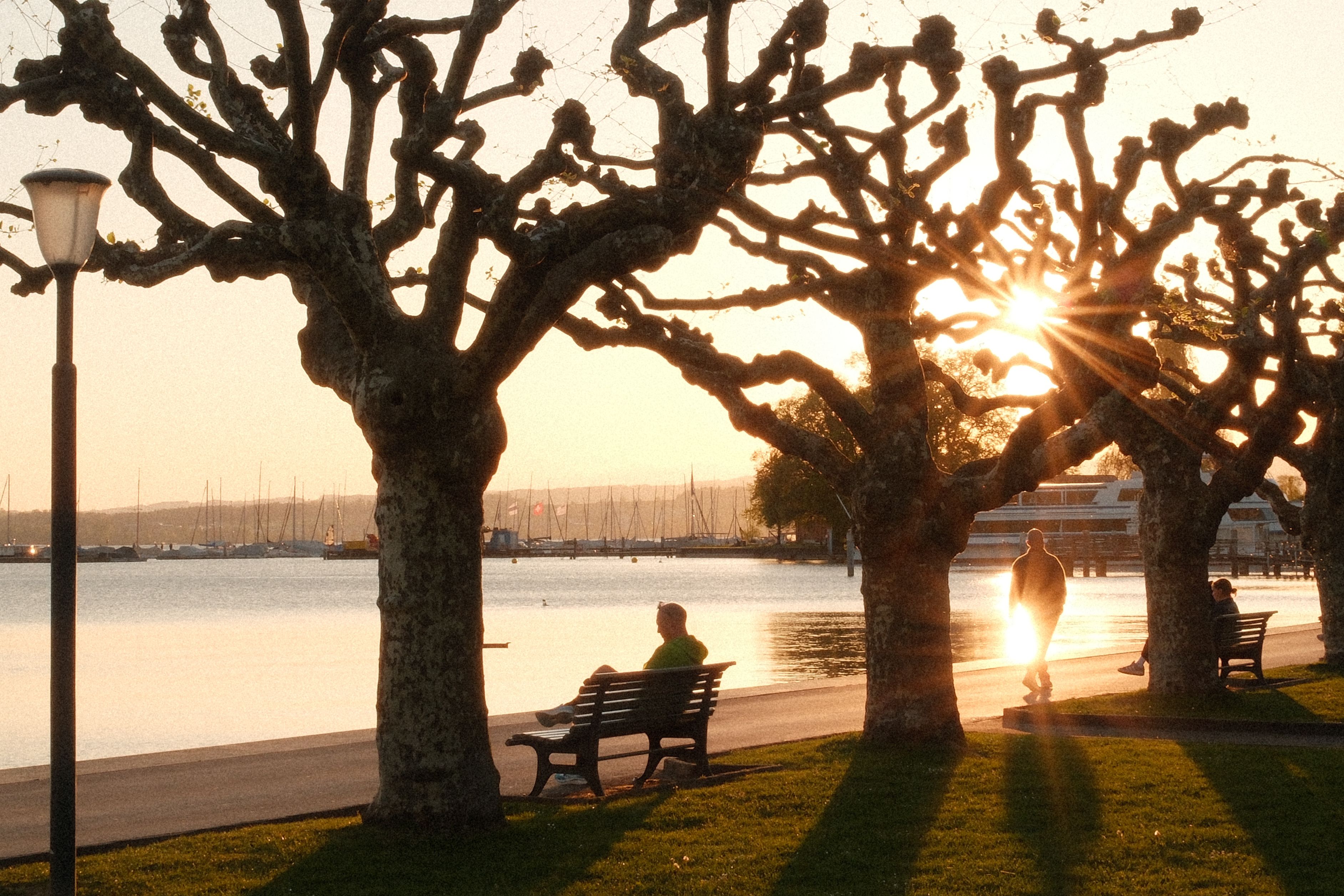 Ufer promenade on the Forggensee
