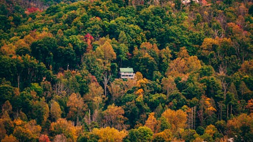 Free Дом в окружении деревьев Stock Photo