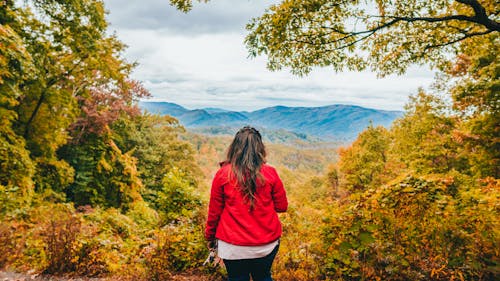 Unrecognizable woman admiring fantastic scenery of mountainous landscape