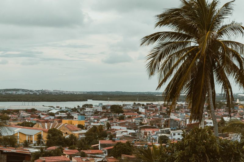 Startups em Natal: ecossistema em crescimento e inovação