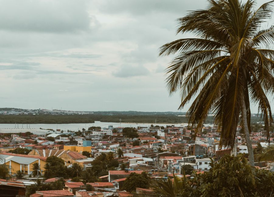 Scenic view of Natal, Brazil with palm trees and colorful buildings under a cloudy sky.