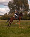 Woman Riding Brown Horse on Green Grass Field
