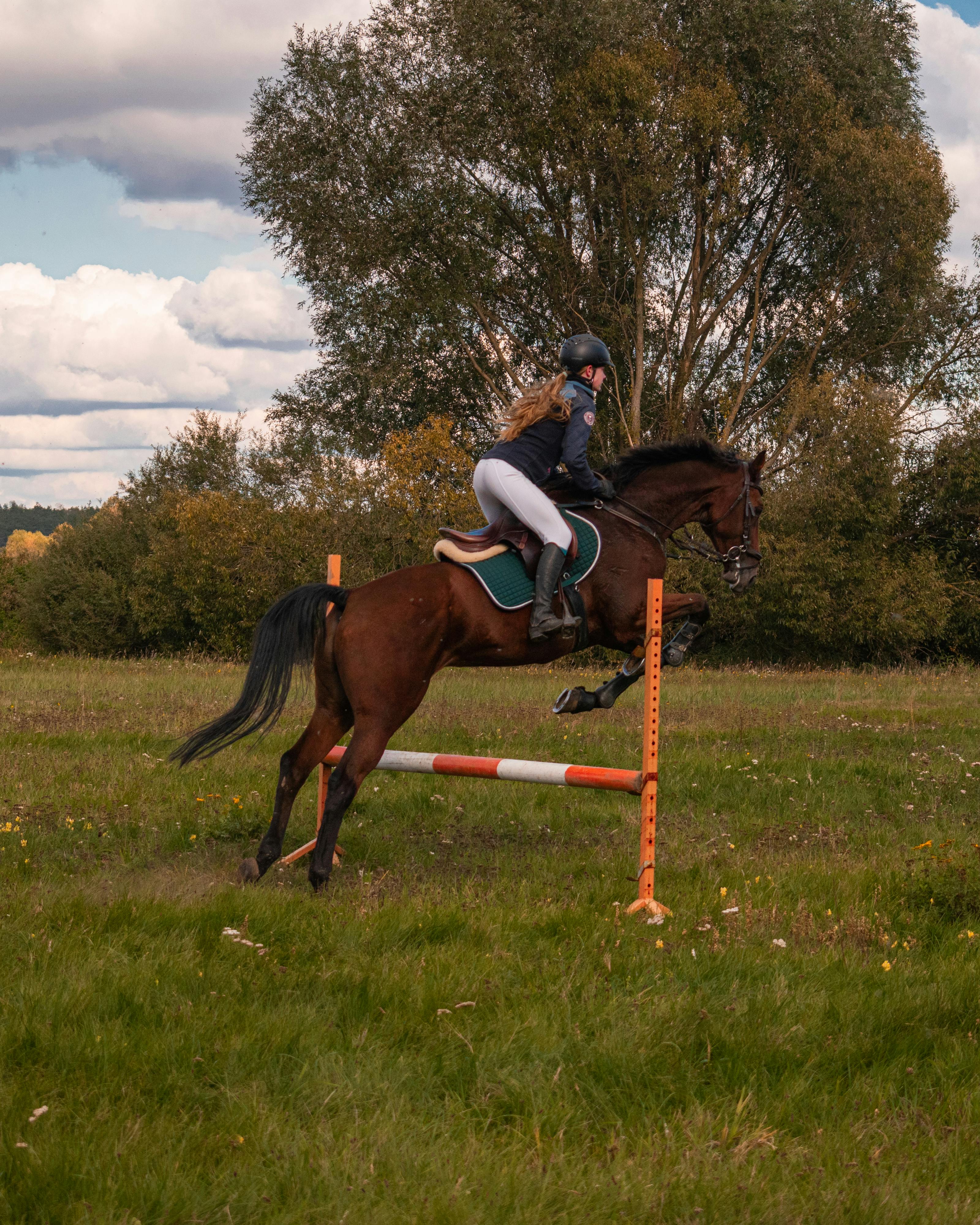 Mulher Cavaleira Cavalgando a Cavalo Marrom E Pulando a Cerca Na Arena De  Sandy Parkour Aperfeiçoamento Profissional Competitivo Imagem de Stock -  Imagem de fêmea, marrom: 165294797