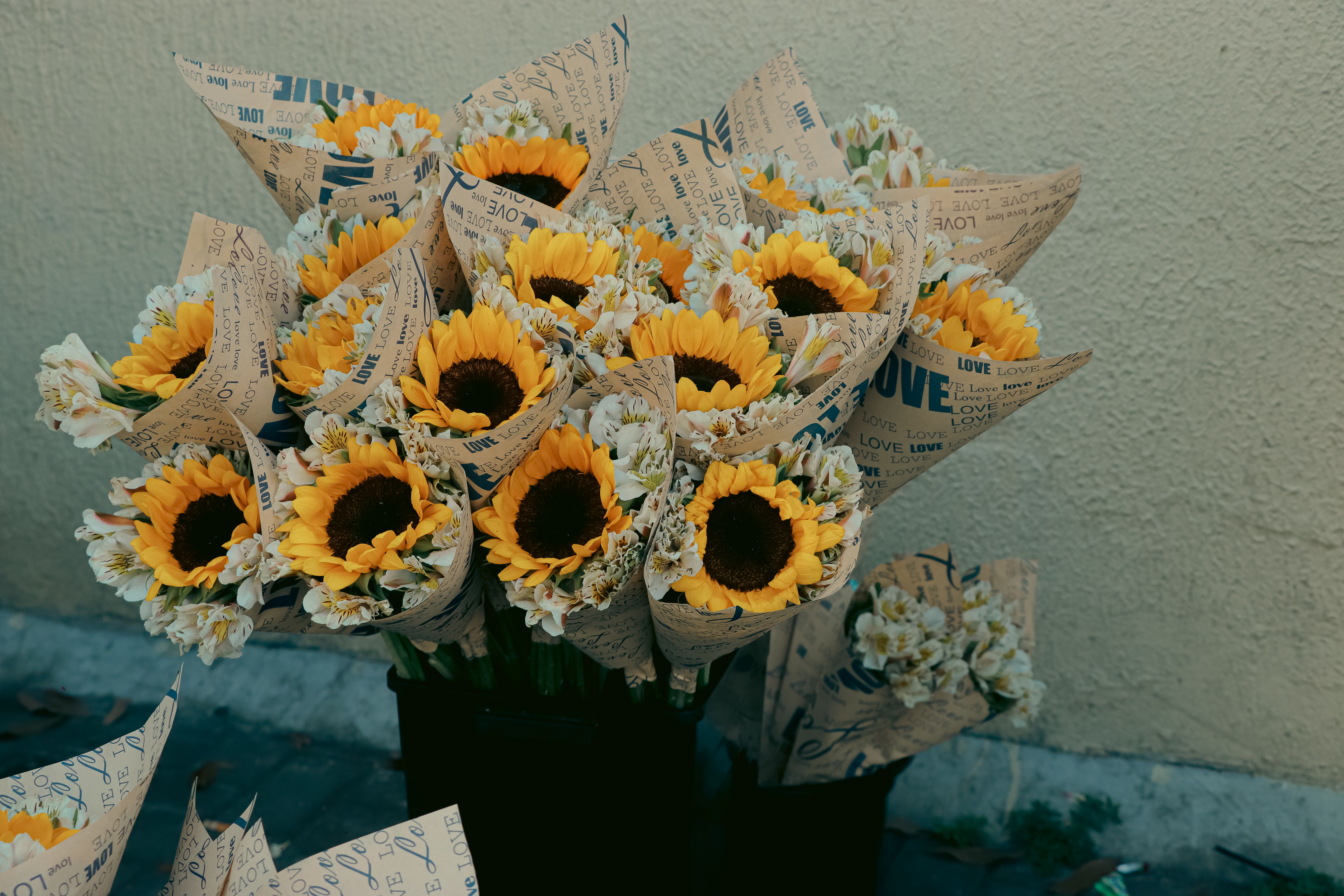 [ColoSach]-charming-sunflower-bouquets-wrapped-in-newspaper,-perfect-for-gifting-or-decor.