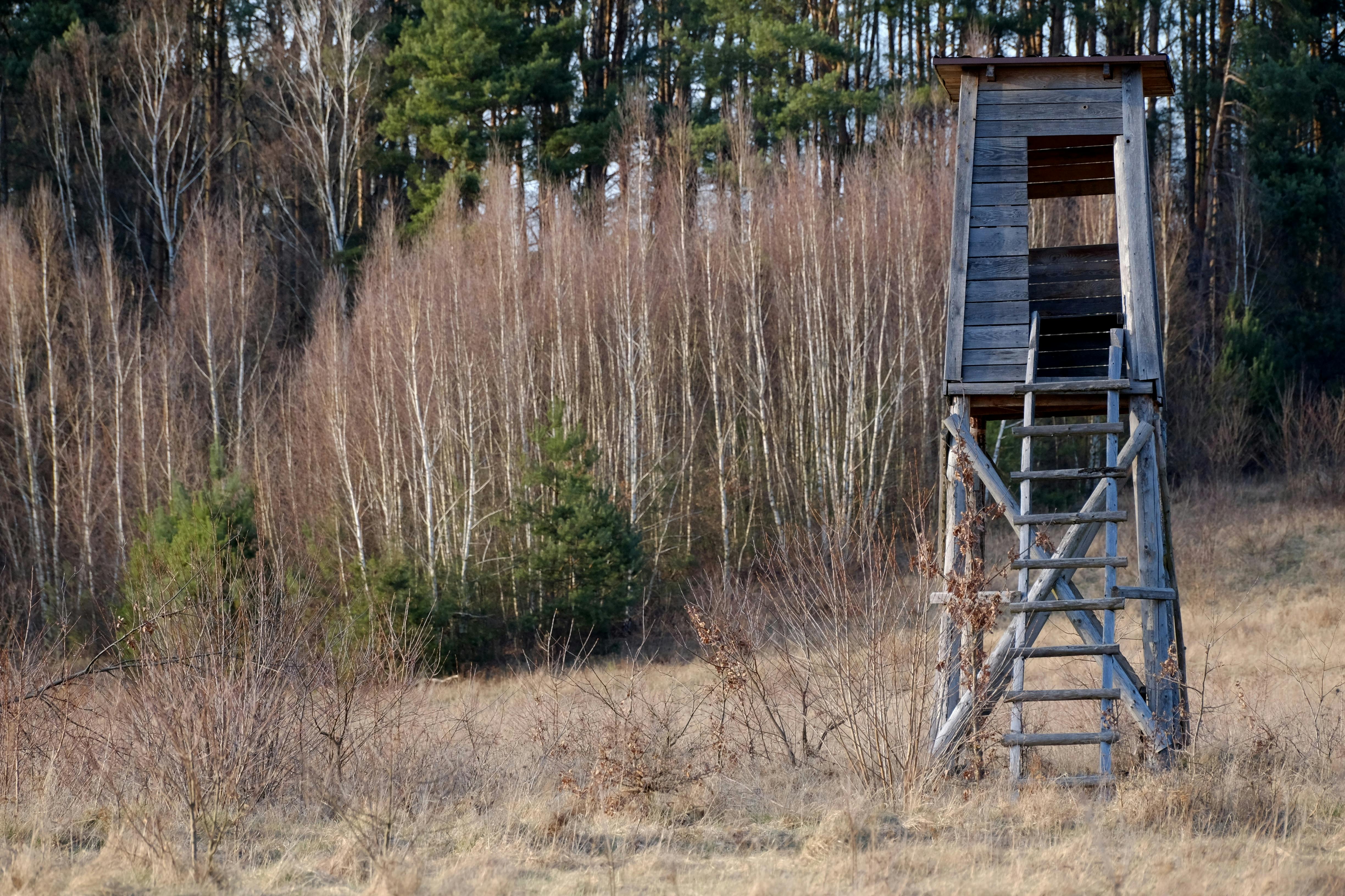 Hunting &amp; Outdoor Adventure Show at QCCA Expo Center, Rock Island, Feb. 12-15 — Photo by Roman Biernacki on Pexels